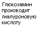 Подпись: Глюкозамин производит гиалуроновую кислоту 